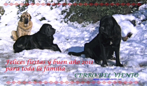 Merry Christmas and a happy New Year 2011 for the whole family
Keywords: xmas