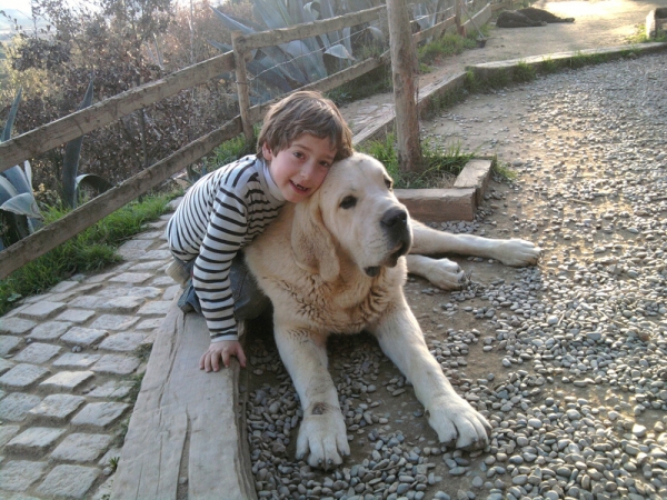 Los dos cachorros
Keywords: Cerro del Viento Sabas Girona EspaÃ±a