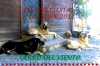 Filename=Navidad_2011.jpg
Filesize=586KiB
Dimensions=1600x1063
Date added=%643 %15, %2011 Navidad_2011.jpg