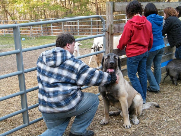 De Niro with Ron near the goat enclosure
Keywords: pacino de niro