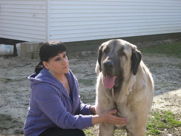 March 19, 2011 De Niro after the bath. 
The big boys after their baths. 
Keywords: norma pacino tatyana deniro brando