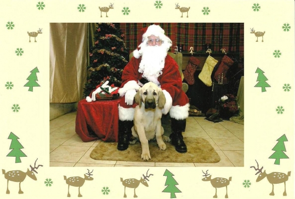 Tatyana's visit with " Santa Claus"  4. December 2011
Keywords: Tatyana, Tanya, Diva, Fall Creek Farm