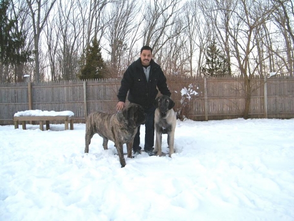 The boys with their dad 3-4-09
Roberto, Brando and De Niro 
Keywords: pacino Brando, De Niro, Pacino