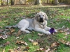 Tatyana_looking_at_camara_with_purple_caps_11-07-11.JPG