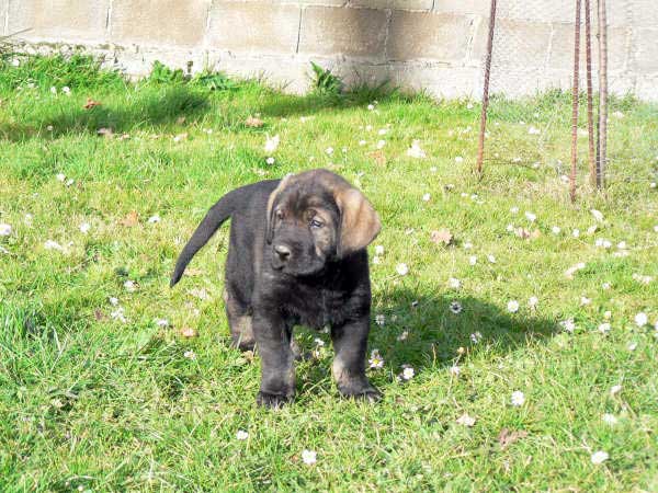 Remo de la Huelga
Tejo de Fuente Mimbre X Deva de Ablanera
الكلمات الإستدلالية(لتسهيل البحث): montecibes