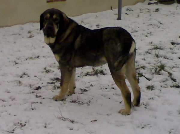 KARI EN LA NIEVE
Keywords: snow nieve