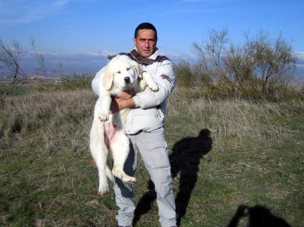 Leona (3 months) with Ernesto
Keywords: Ernesto - Spain