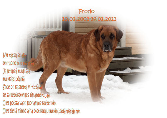 Frodo - Our greatest guide and guard
10.02.2002 - 14.01-2011
Anahtar kelimeler: harri frodo