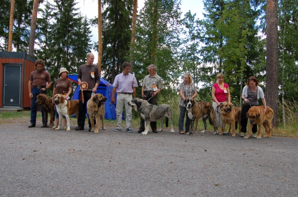 Bonachon Mastin Espanol meeting in Finland 31.7.2010
Dogs from the meeting, with our special guest Pedro Carcía Martín from Spain
