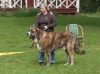 Filename=HPIM3957.JPG
Filesize=772KiB
Dimensions=2047x1532
Date added=%747 %29, %2012 HPIM3957.JPG