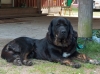 Filename=HPIM3988.JPG
Filesize=800KiB
Dimensions=2047x1532
Date added=%747 %29, %2012 HPIM3988.JPG