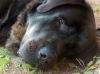 Filename=HPIM3995.JPG
Filesize=687KiB
Dimensions=2047x1532
Date added=%747 %29, %2012 HPIM3995.JPG