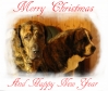 Filename=korttiENG.png
Filesize=687KiB
Dimensions=871x737
Date added=%797 %22, %2012 korttiENG.png