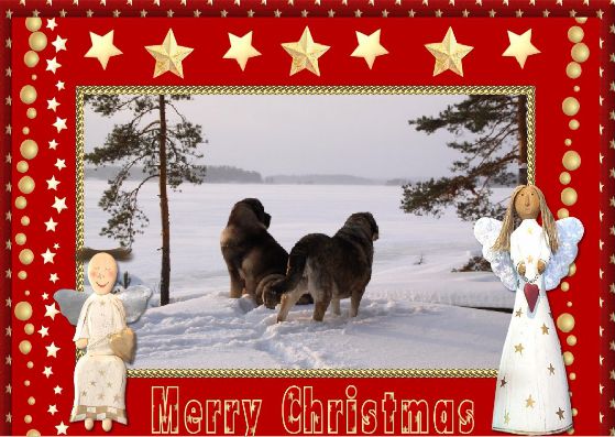 Christmas is comming - Merry Christmas and a Happy New Year 2013 from Finland
Anahtar kelimeler: xmas antero Erbi QuÃ¡ntum