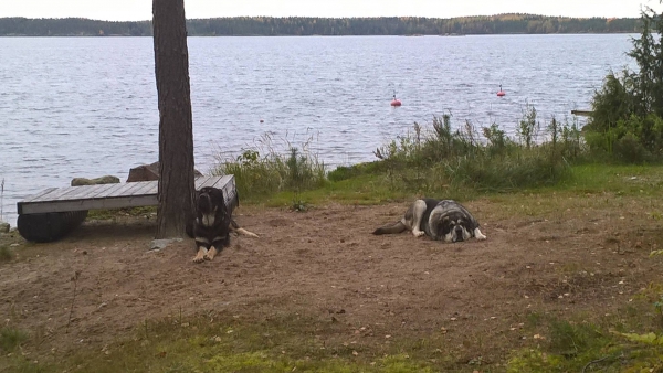 On the waterfront
relaxing after a walk
Keywords: Erbi, Luga antero