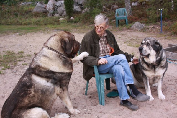 Quantum asking for attention
Every evening we have a "Quality time" at shore, sitting at peace, looking to the lake and scratching
Keywords: Erbi Quantum antero