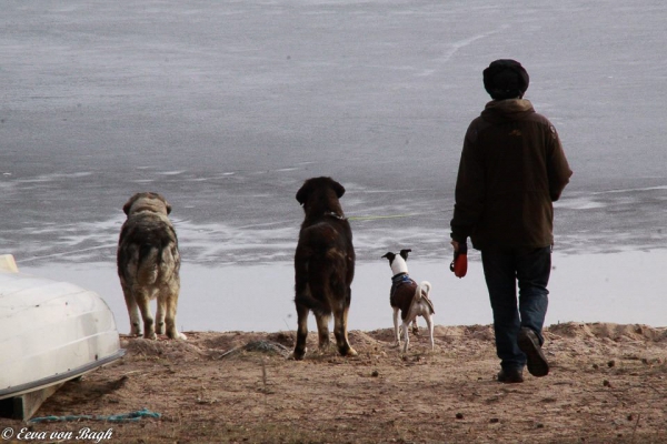 Last ice on the lake
Waiting for the lake to get free of ice
Keywords: Erbi Anaise Luga Omar antero