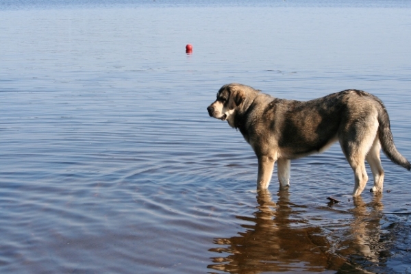 A nadar?
Keywords: antero water