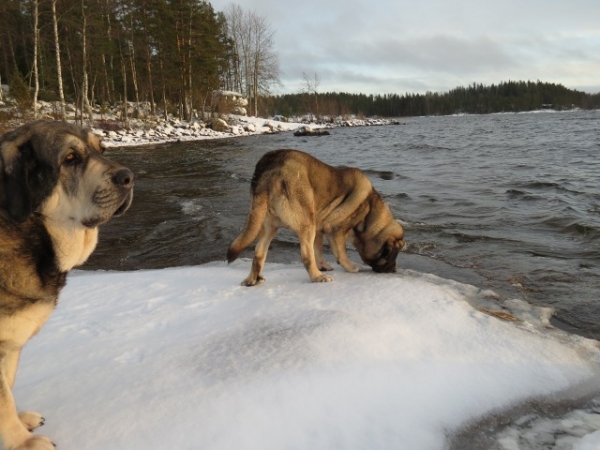 Erbi and Quántum - still no ice!
Keywords: antero Erbi QuÃ¡ntum water