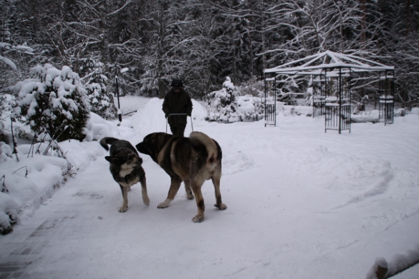 Playing
Keywords: Erbi QuÃ¡ntum snow nieve antero