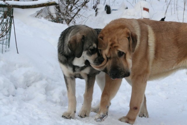 Erbi de Anaise y Trueno de Bao La Madera
Keywords: snow nieve antero