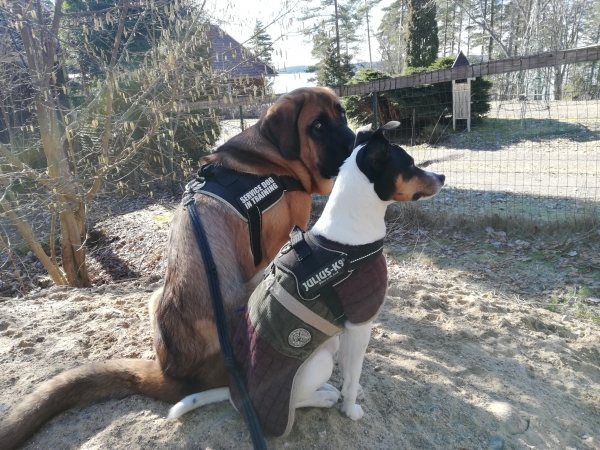 Guarding
Gorri de Anaise  and Omar de la Cagueta
Keywords: Gorri Anaise Omar Cangueta antero