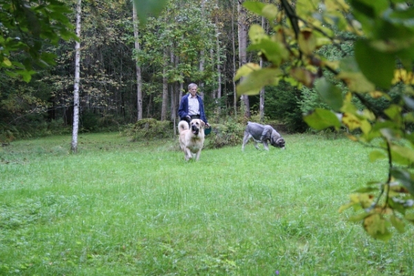 En e bosque - Erbi and Trueno
Keywords: antero Erbi Trueno