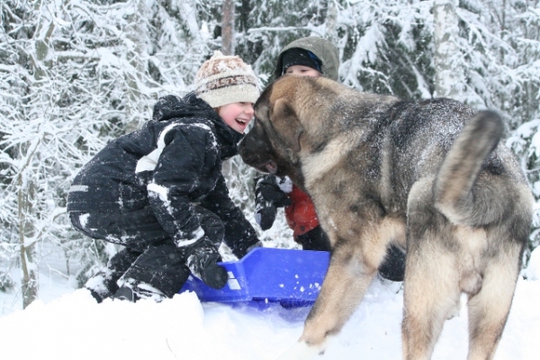 Jugando con niños
Quántum Mastibe
Keywords: antero snow nieve QuÃ¡ntum