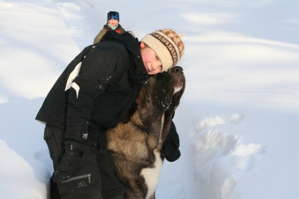 Amor verdadero
Quántum Mastibe
Keywords: antero kids snow nieve QuÃ¡ntum