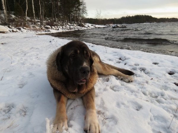 Quántum on Christmas day on the shore
Keywords: antero snow nieve QuÃ¡ntum