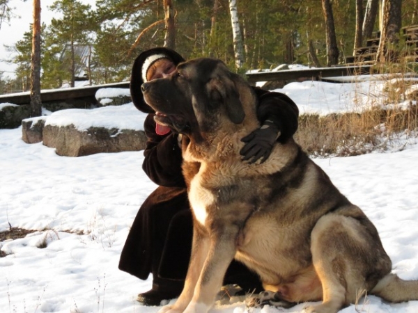 Quántum and Eeva
Palavras chave: antero snow nieve QuÃ¡ntum