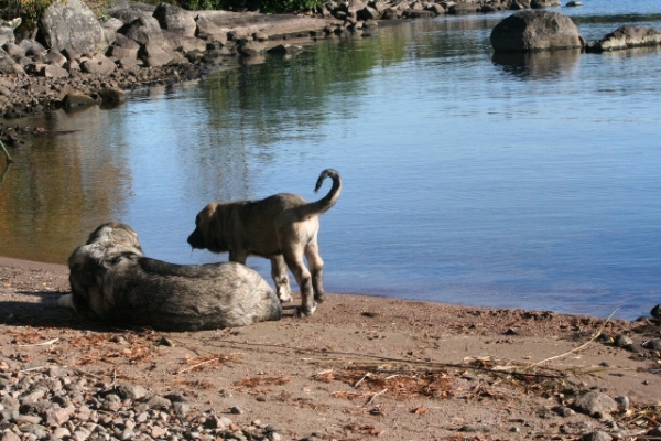 En la Playa
Erbi y Quántum
Keywords: antero Erbi QuÃ¡ntum