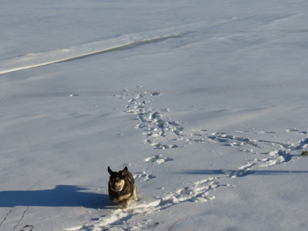 Erbi on Ice
Keywords: antero snow nieve Erbi de Anaise