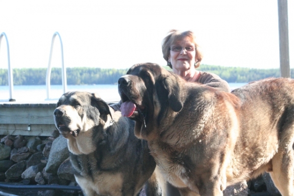 Eeva y perros
Erbi de Anaise y Quántum Mastibe
Keywords: antero Erbi Anaise QuÃ¡ntum Mastibe