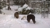 Filename=01_Winterday.jpg
Filesize=151KiB
Dimensions=1135x640
Date added=%828 %19, %2016 01_Winterday.jpg
