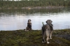 Filename=03_Quantum_ja_Erbi.jpg
Filesize=76KiB
Dimensions=640x427
Date added=%423 %19, %2012 03_Quantum_ja_Erbi.jpg