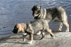 Filename=11_10_10__11.JPG
Filesize=212KiB
Dimensions=640x427
Date added=%743 %11, %2010 11_10_10__11.JPG