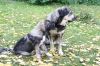 Filename=11_10_10__6.JPG
Filesize=255KiB
Dimensions=640x427
Date added=%744 %11, %2010 11_10_10__6.JPG