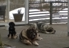 Filename=20150305-WP_20150305_003.jpg
Filesize=446KiB
Dimensions=895x640
Date added=%379 %09, %2015 20150305-WP_20150305_003.jpg