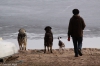Filename=20160427-13006487_10209765709768332_8366088784460512780_n.jpg
Filesize=313KiB
Dimensions=960x640
Date added=%797 %27, %2016 20160427-13006487_10209765709768332_8366088784460512780_n.jpg