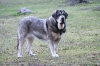 Filename=2_Erbi.JPG
Filesize=214KiB
Dimensions=640x427
Date added=%798 %07, %2011 2_Erbi.JPG