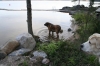 Filename=A_nadar.jpg
Filesize=82KiB
Dimensions=640x427
Date added=%690 %18, %2008 A_nadar.jpg