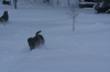 Filename=Erbi3.JPG
Filesize=119KiB
Dimensions=640x427
Date added=%886 %11, %2010 Erbi3.JPG