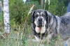 Filename=Erbi_3.JPG
Filesize=202KiB
Dimensions=640x427
Date added=%846 %10, %2011 Erbi_3.JPG