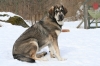 Filename=Erbi_8_meses1.JPG
Filesize=156KiB
Dimensions=640x427
Date added=%685 %02, %2009 Erbi_8_meses1.JPG
