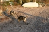 Filename=Erbi_ja_Quant_11_2.JPG
Filesize=241KiB
Dimensions=640x427
Date added=%671 %02, %2010 Erbi_ja_Quant_11_2.JPG