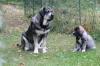 Filename=Erbi_y_Quatntum.JPG
Filesize=238KiB
Dimensions=640x427
Date added=%723 %14, %2010 Erbi_y_Quatntum.JPG