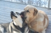 Filename=Erbi_y_Trueno.JPG
Filesize=167KiB
Dimensions=640x427
Date added=%682 %02, %2009 Erbi_y_Trueno.JPG