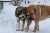 Filename=Erbi_y_Trueno.jpg
Filesize=62KiB
Dimensions=640x427
Date added=%837 %05, %2009 Erbi_y_Trueno.jpg