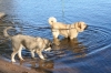 Filename=Erbi_y_Trueno_nada.JPG
Filesize=213KiB
Dimensions=640x427
Date added=%868 %12, %2009 Erbi_y_Trueno_nada.JPG